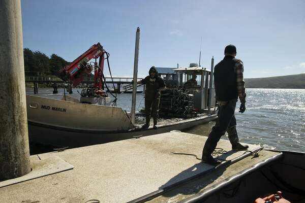 End Of Drought Not All Good For Bay Area Oyster Farms