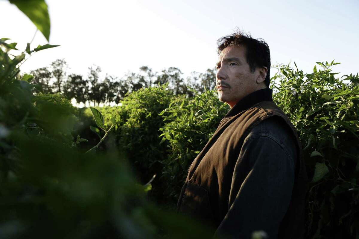 Benito Martinez plays Luis, a Mexican immigrant who witnesses shocking abuse and violence on the Hesby tomato farm in the third season of anthology series 'American Crime' on ABC.