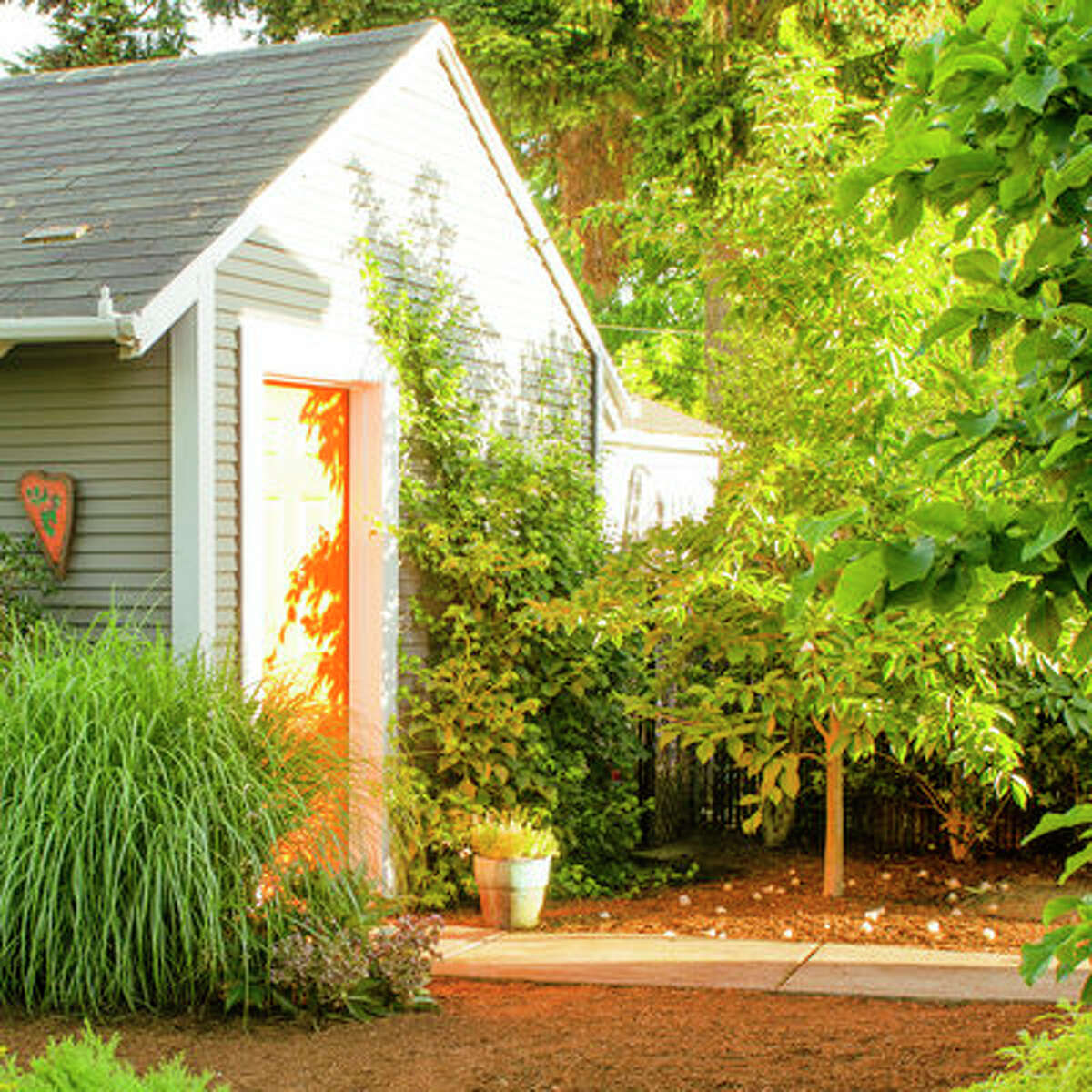 How to create a dogfriendly garden