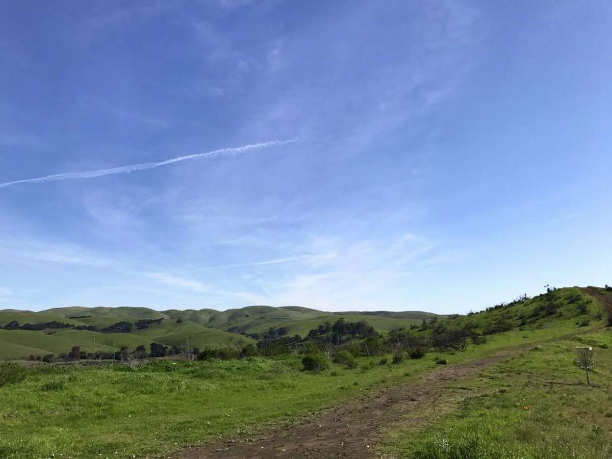Photos After winter rains, the hills of Northern California are