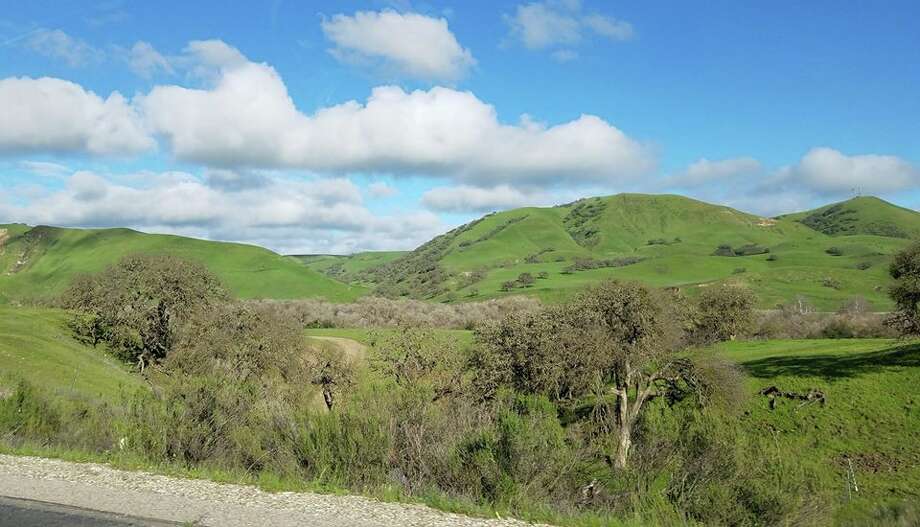 Photos: After winter rains, the hills of Northern California are ...