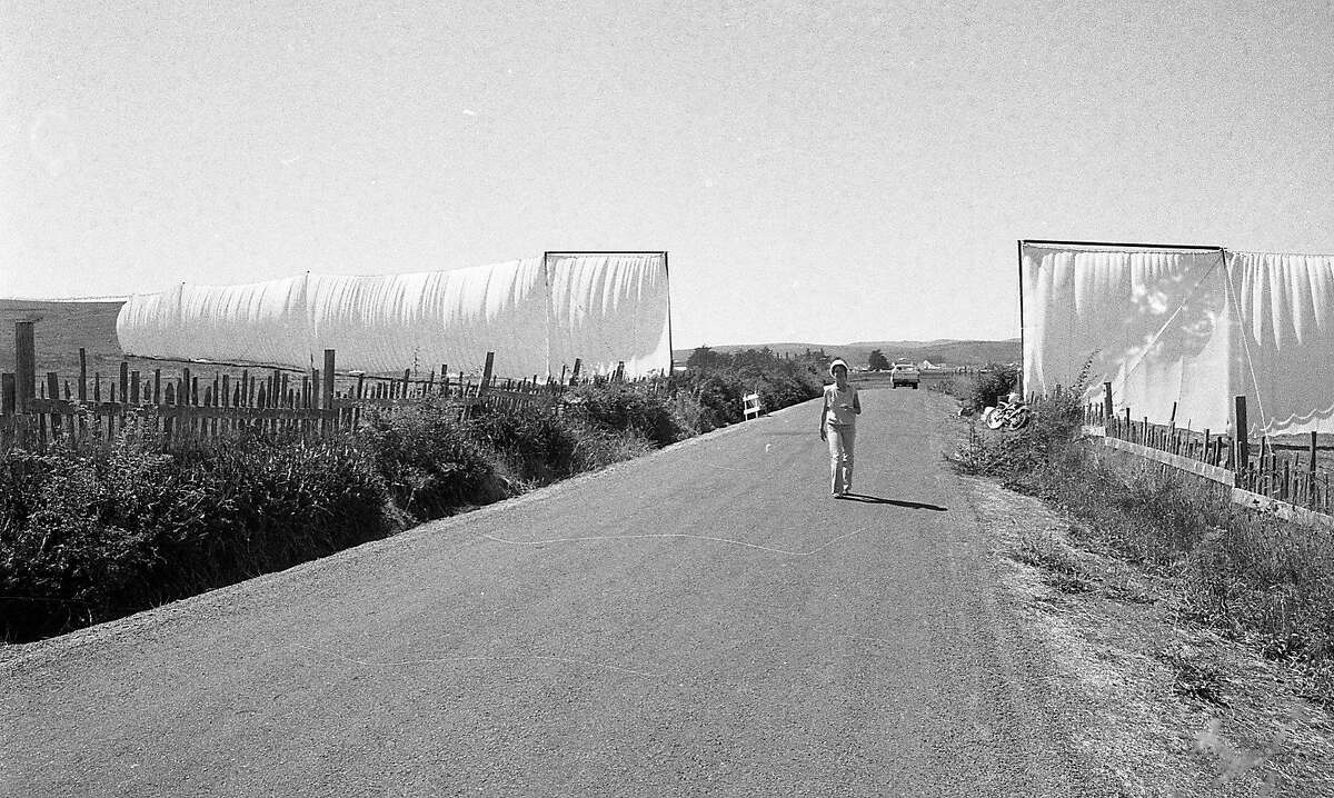 New York artist Christo Javacheff's a 24 mile long running fence being installed from Petaluma to the Pacific Ocean, September February 8, 1976