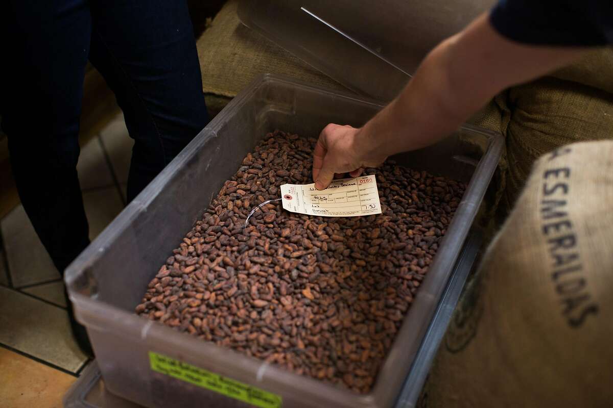 Fresh cacao beans photographed at Mutari Chocolate in Santa Cruz, Calif. Thursday, March 9, 2017.