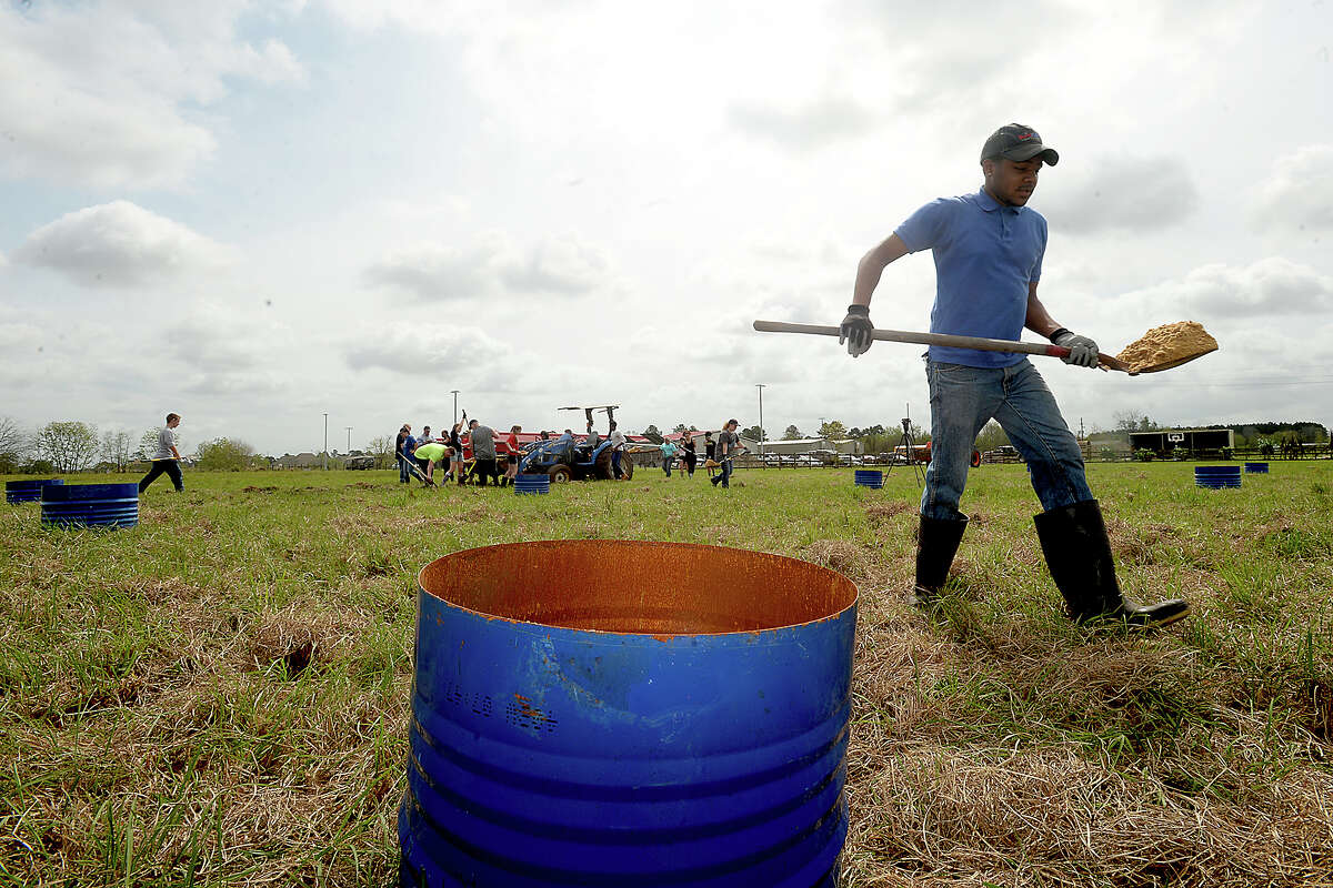 When is the best time to plant a new tree?