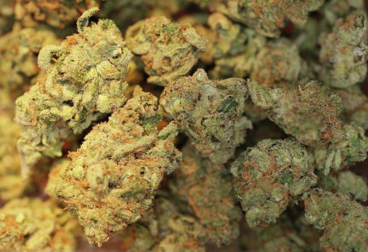 Texas marijuana A bill seeking to decriminalize low-level possession of marijuana is scheduled for a hearing in-front of the Criminal Jurisprudence Committee on March 13th. Click ahead to learn 11 things you didn't know about marijuana.