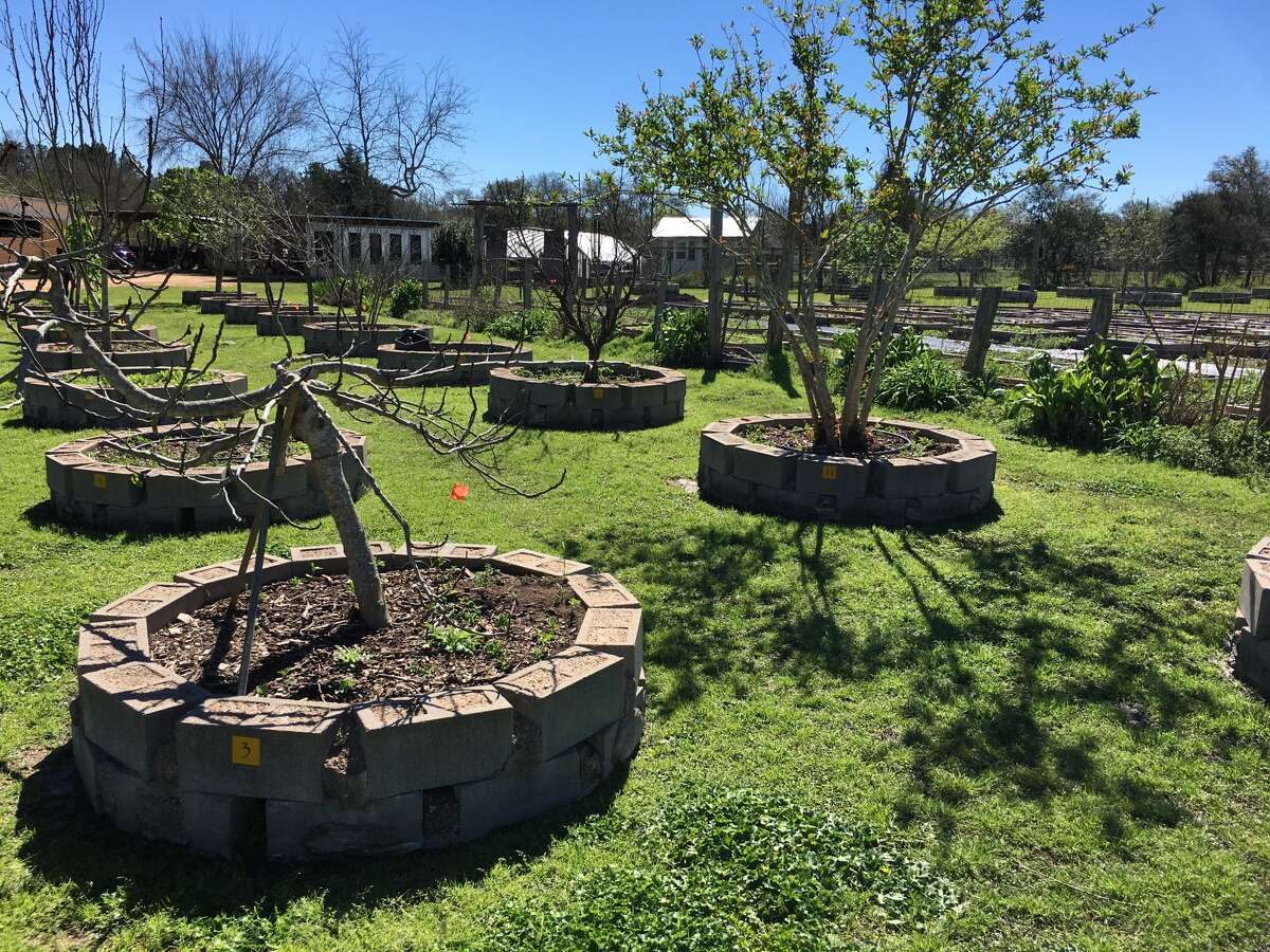 At Blackwood, a new way of looking at the land