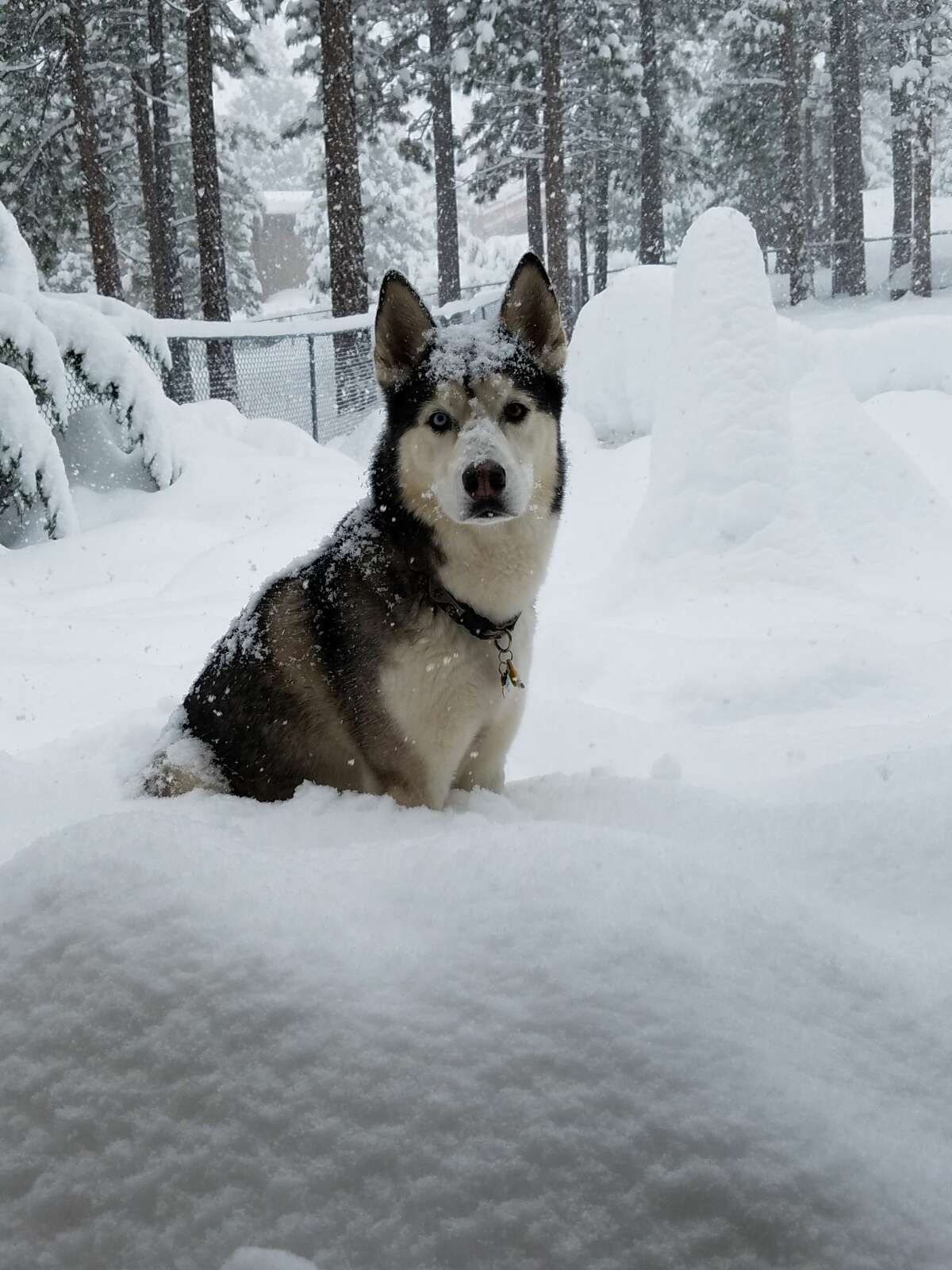 Storm churns waves up to 6 feet on Lake Tahoe, drops foot of snow in Sierra