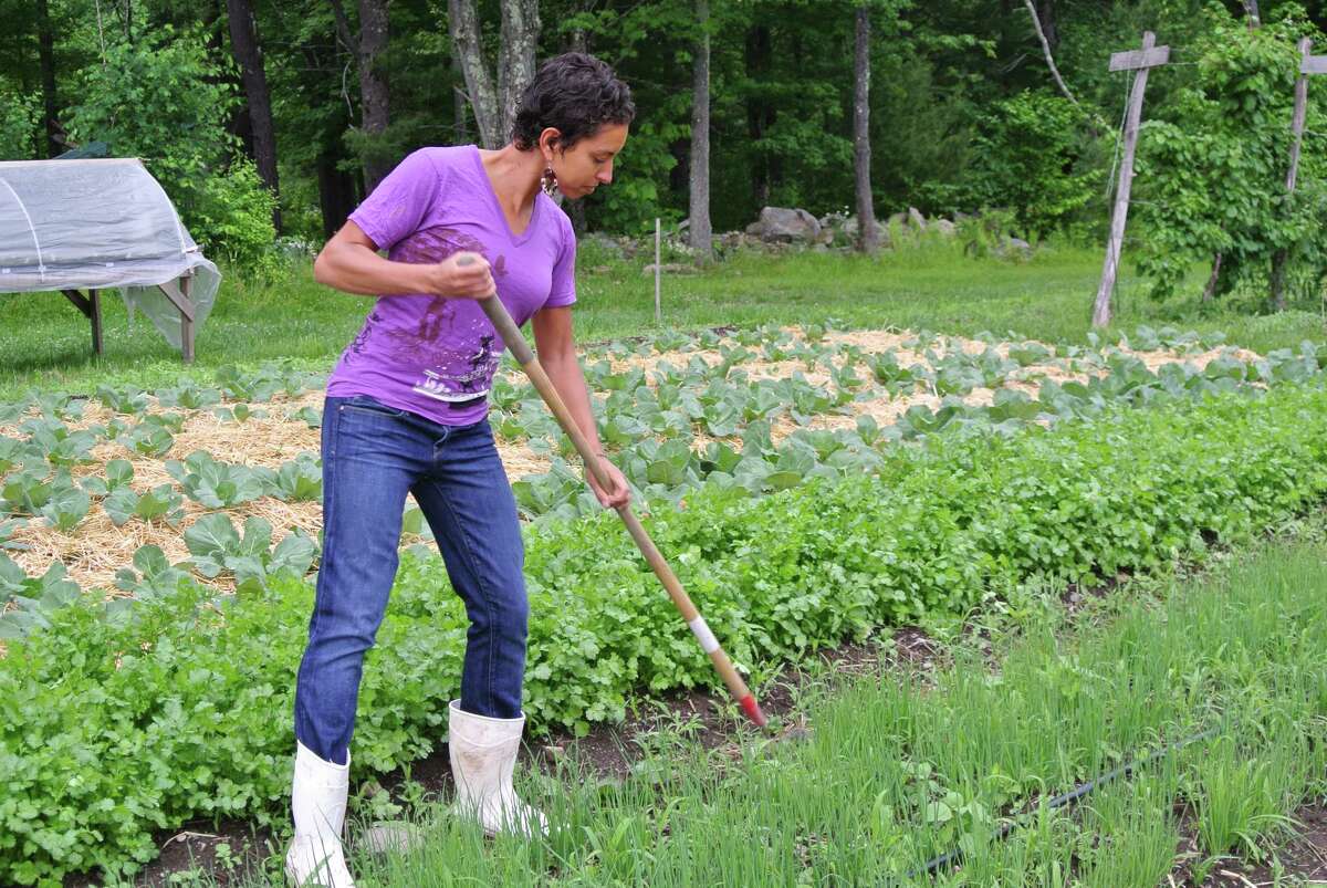 Leah Penniman hoes weeds out of herb beds at Soul Fire Farm in Grafton. (Times Union archive)