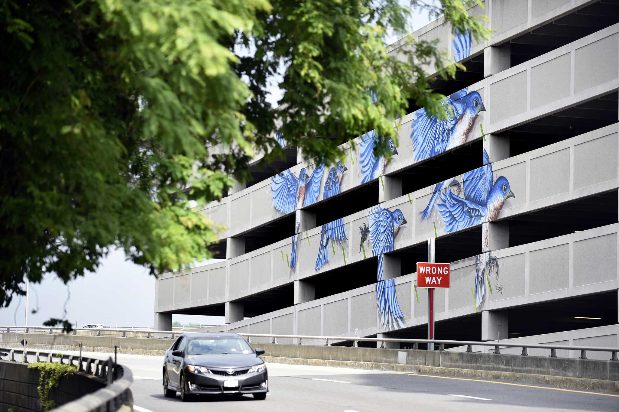 Albany Center Gallery launches new Summer Art Fest