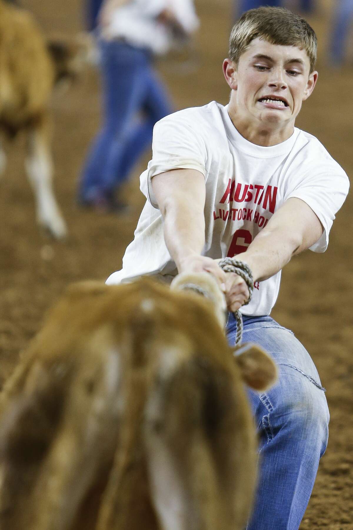 Calf scrambler Trent Stefka struggles to bring the calf he caught back into the center of the arena during round three of Super Series III at the Houston Livestock Show and Rodeo Wednesday, March 15, 2017 in Houston. ( Michael Ciaglo / Houston Chronicle )