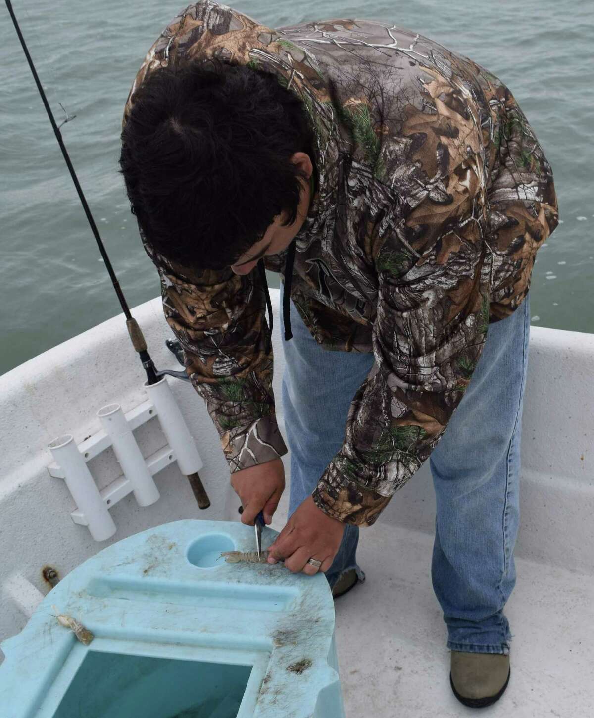 Capt. Aerich Oliver of Redfish Charters cuts up a sea lice for big black drum bait using a technique he has developed during 15 years of fishing experience under the tutelage of veteran Guide Charlie Newton.