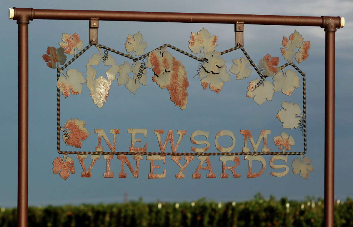 Newsom Vineyards near Plains, Texas grows different varieties of grapes for different knds of wines. Owner Neal Newsom is working with his son Nolan Newsom who will become part of the next generation of grape growers.