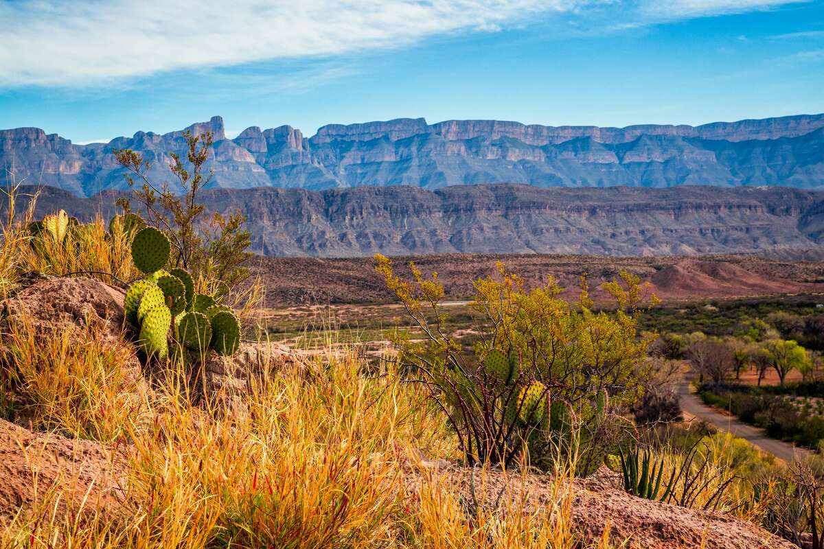 Desert View to the Sierra Ponce Mountains in Big Bend National Park