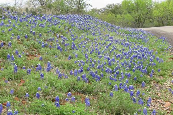 Blue Bonnet Cafe Making Room For Pie In Marble Falls