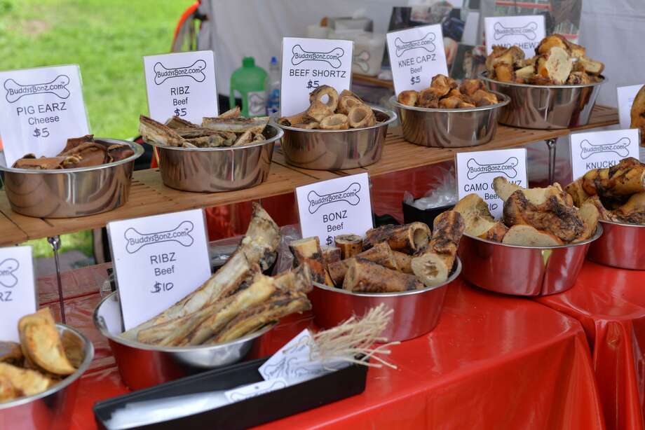S.A. dog lovers, kite enthusiasts head outside for the Fest of Tails