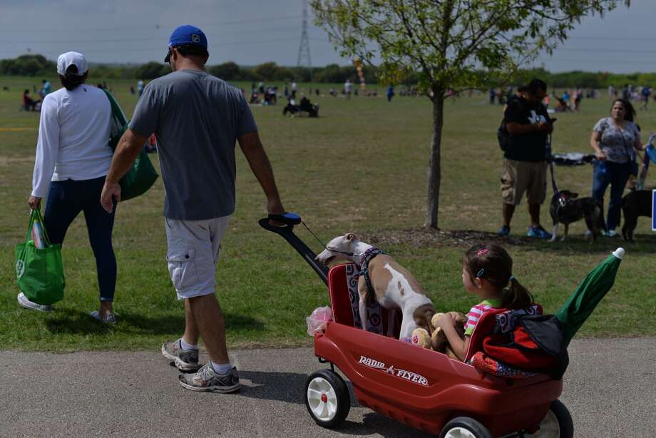 S.A. dog lovers, kite enthusiasts head outside for the Fest of Tails