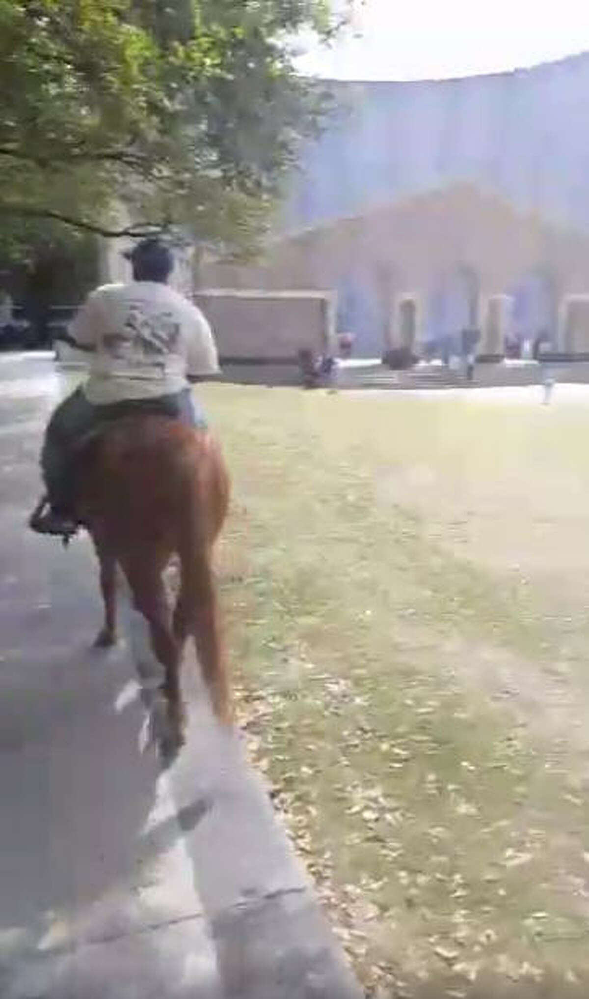 Houston man rides horse through Walmart to buy a candy bar, Facebook