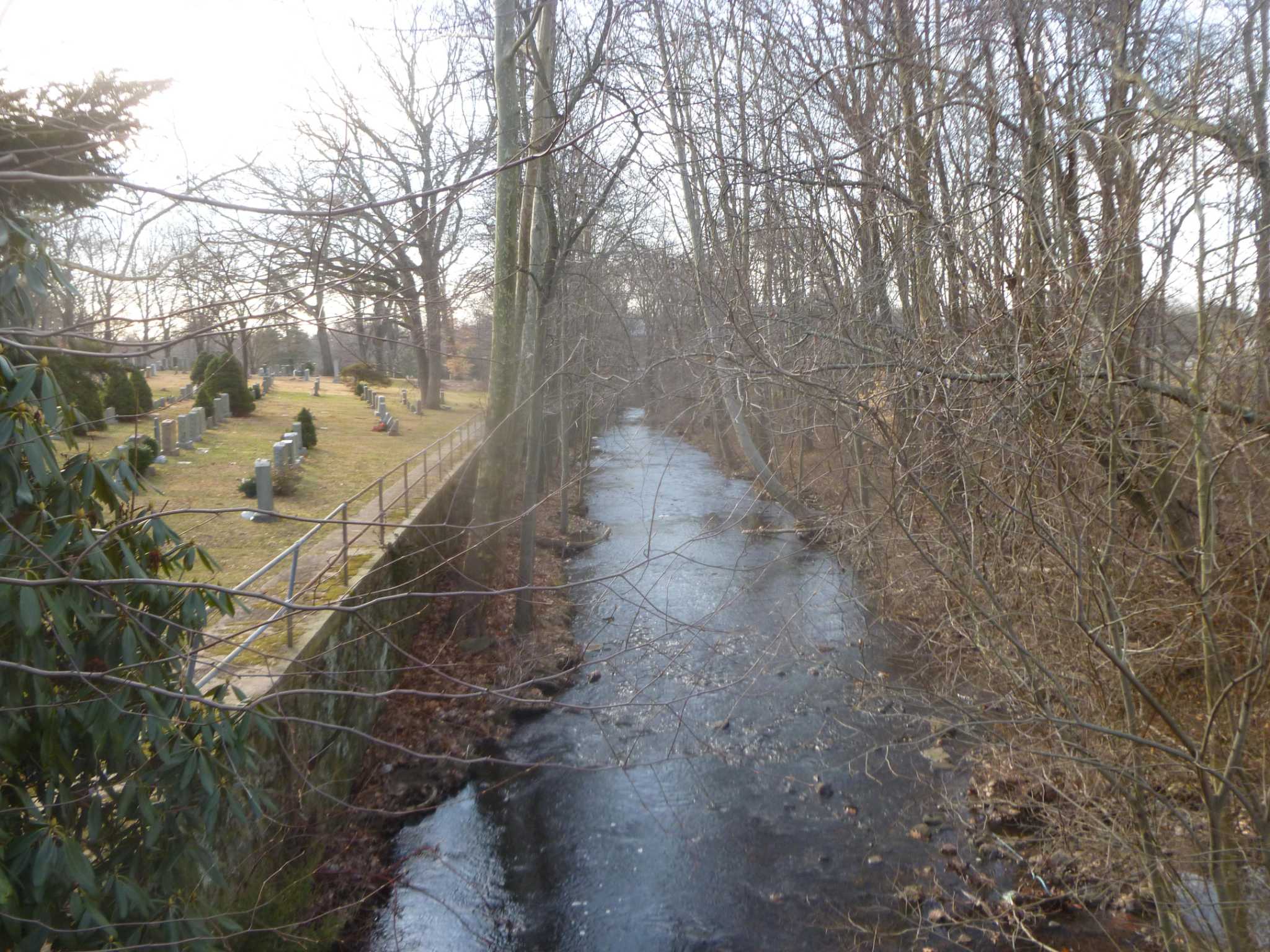 Town of Darien, Land Trust work together to secure open space