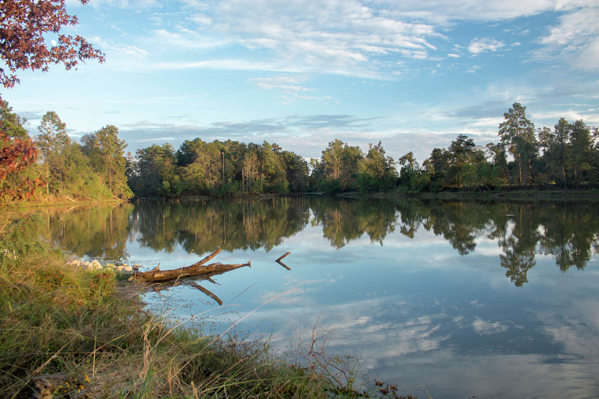 Precinct 4 is opening the Kickerillo-Mischer Preserve. The park spans 80 acres and features the 40-acre Marshall Lake with a 1.7-mile paved trail that circles the water.