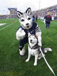 Meet Uconn S Top Dog Jonathan The Husky Connecticut Post
