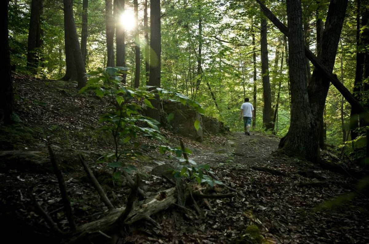 Hiking at the Trout Brook Valley Conservation Area