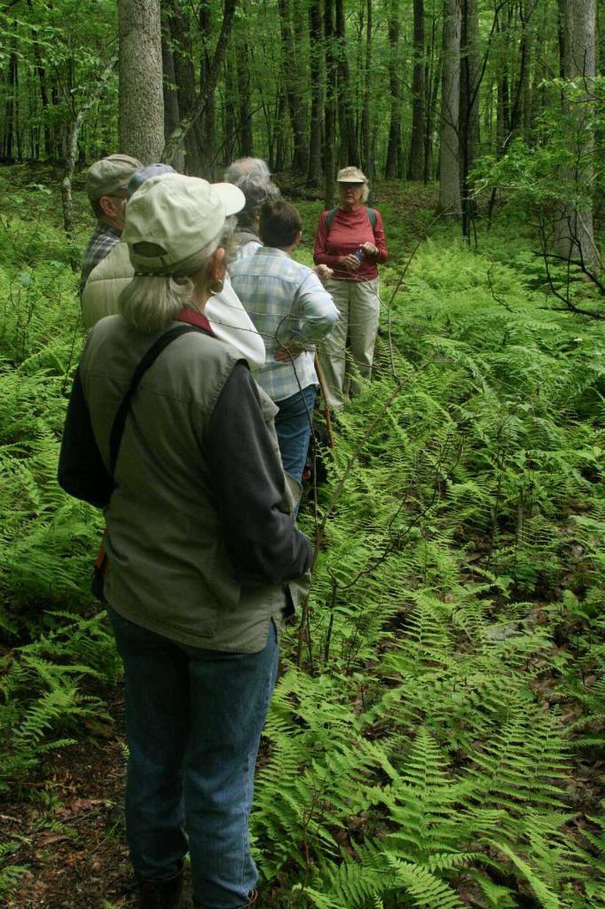 Celebrating National Trails Day in Connecticut