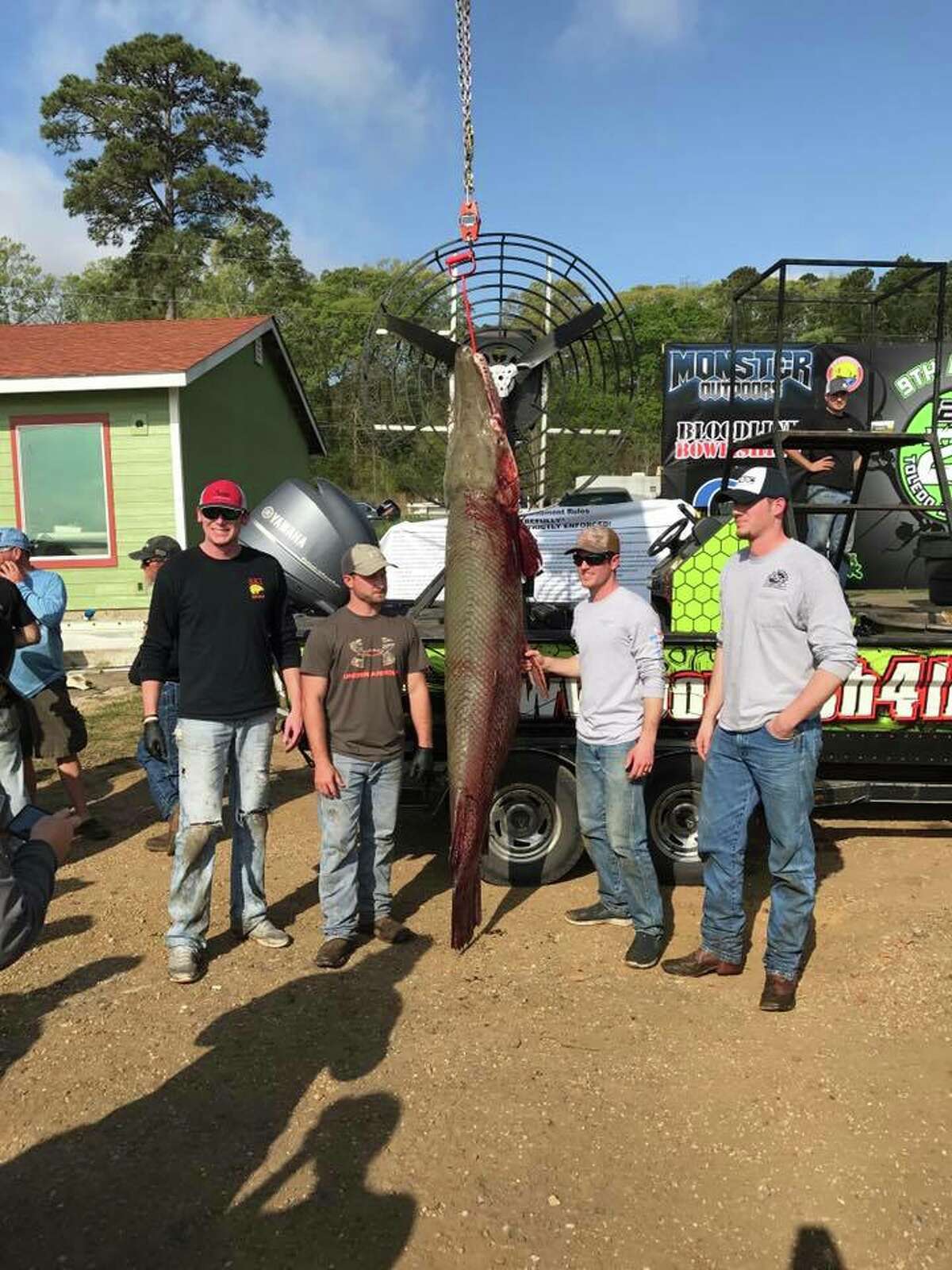 Video: Backhoe hauls up 'giant' alligator gar that may break East Texas ...