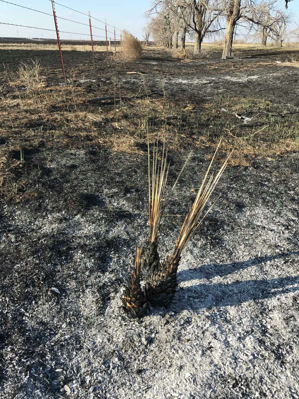 Fellow Texans come to the rescue after fire devastates Panhandle