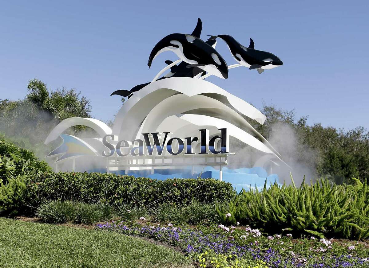 A young girl died after being hit by a vehicle in the parking lot of SeaWorld of San Antonio Sunday night, June, 24, 2018. 