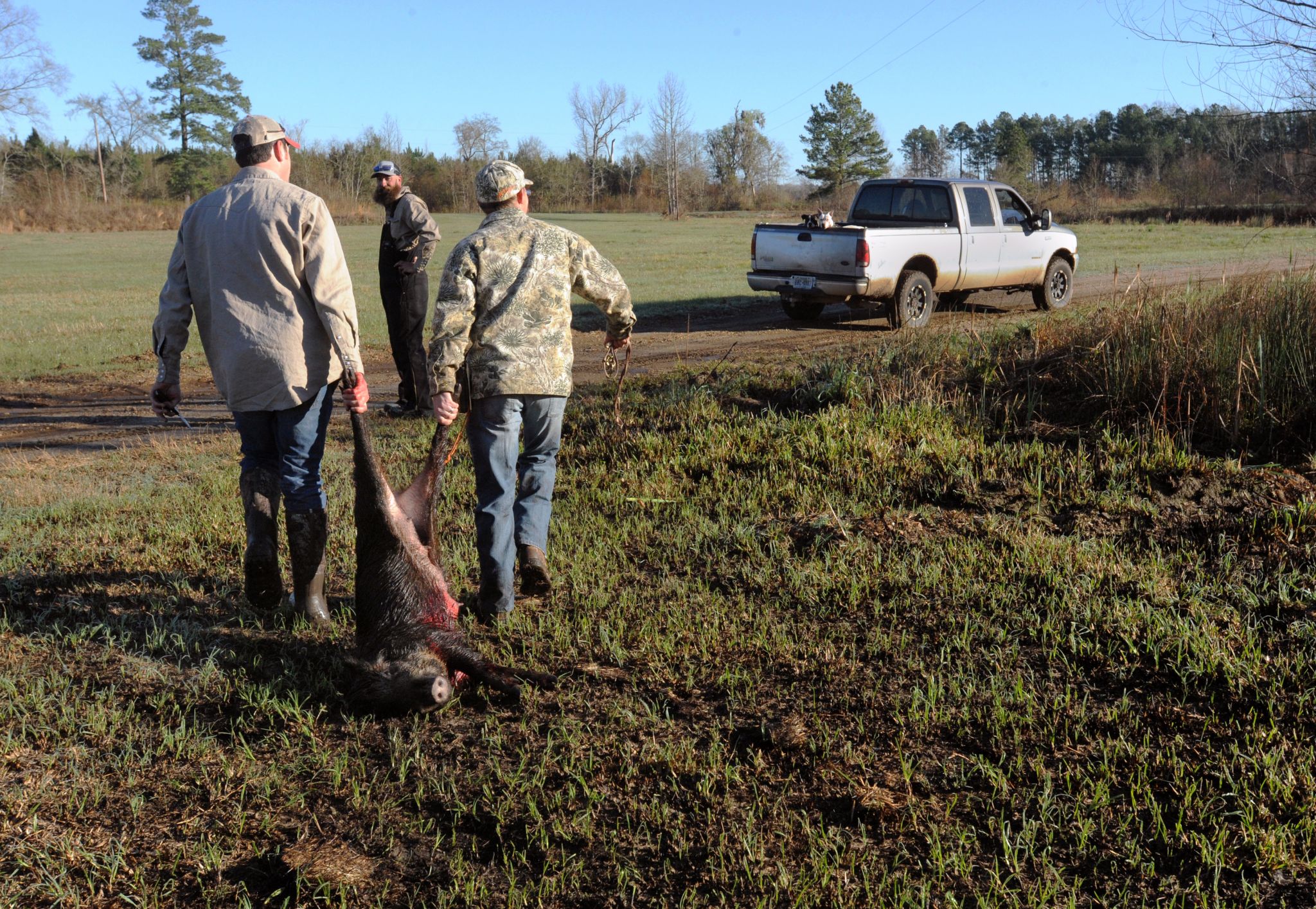 13-year-old Texan takes out 400-pound feral hog wreaking havoc on ranch