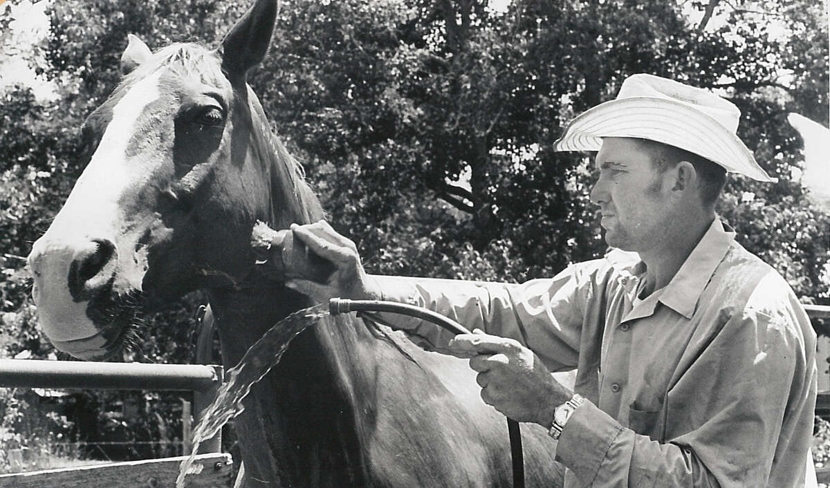 Jimmy Latham of Fairfield washes one of the stock horses in 1977.