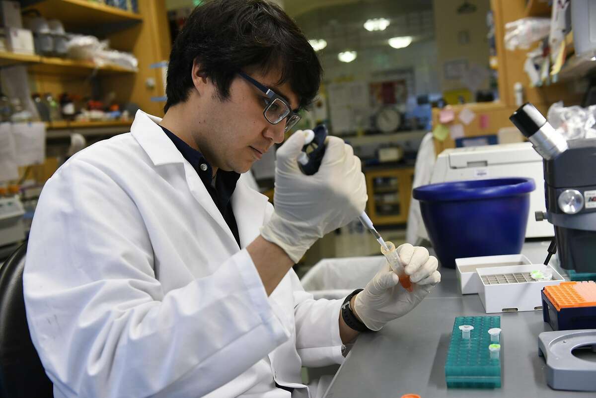 Post doctorate fellow Duncan Leitch prepares shark DNA for testing in the David Julius lab at UCSF in San Francisco, CA, on Friday March 24, 2017.