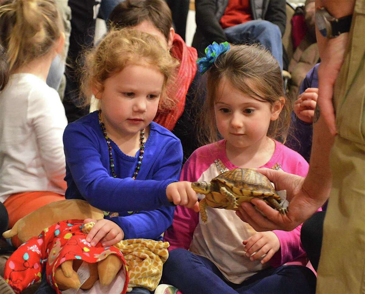 Two kids meet a box turtled, held by Brian Kleinman, owner and operator of Riverside Reptiles, who paid a visit to the New Canaan Library on Saturday, Mar. 25, 2017, with his critters, in New Canaan, Conn.