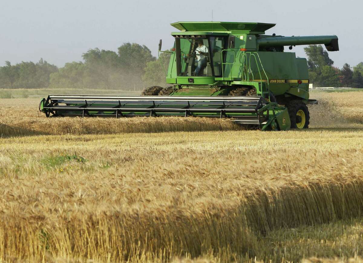 An unidentified farmer harvests wheat near Norwich, Kan. For U.S. farmers, who sent $130 billion in exports abroad last year — including $18 billion worth to Mexico — cultivating and nurturing trade relationships has been a bedrock of U.S. agricultural policy for decades.