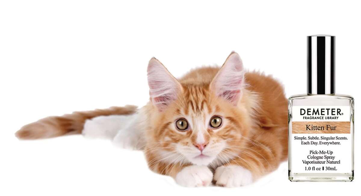 New fragrance makes you smell like a kitten