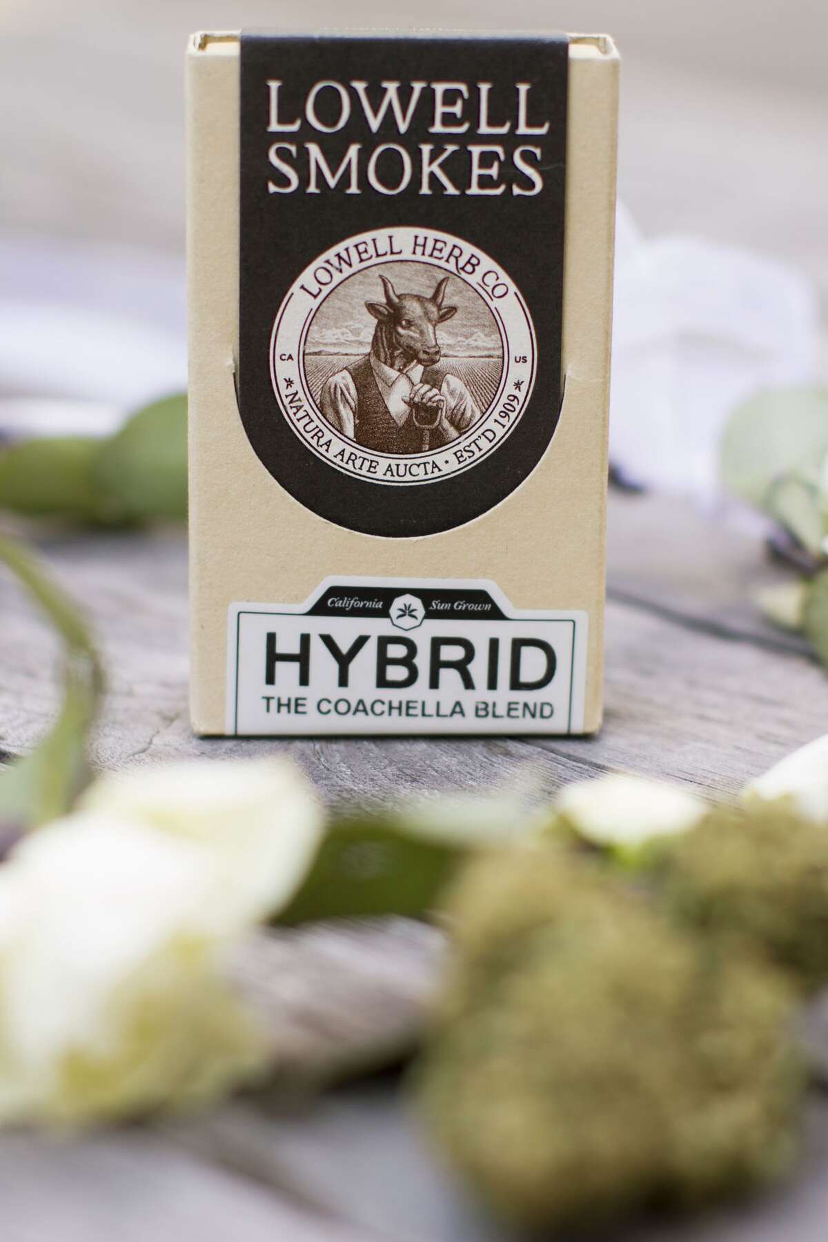 Coachella Festival to marijuana grower Stop selling Coachella Blend