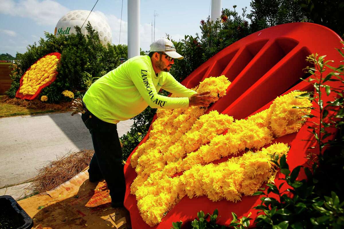 Landscape Art second crew leader Oscar Alvarez fills a Shell pecten with yellow mums as final preparations are made for the Shell Houston Open at the Golf Club of Houston Tuesday in Houston.