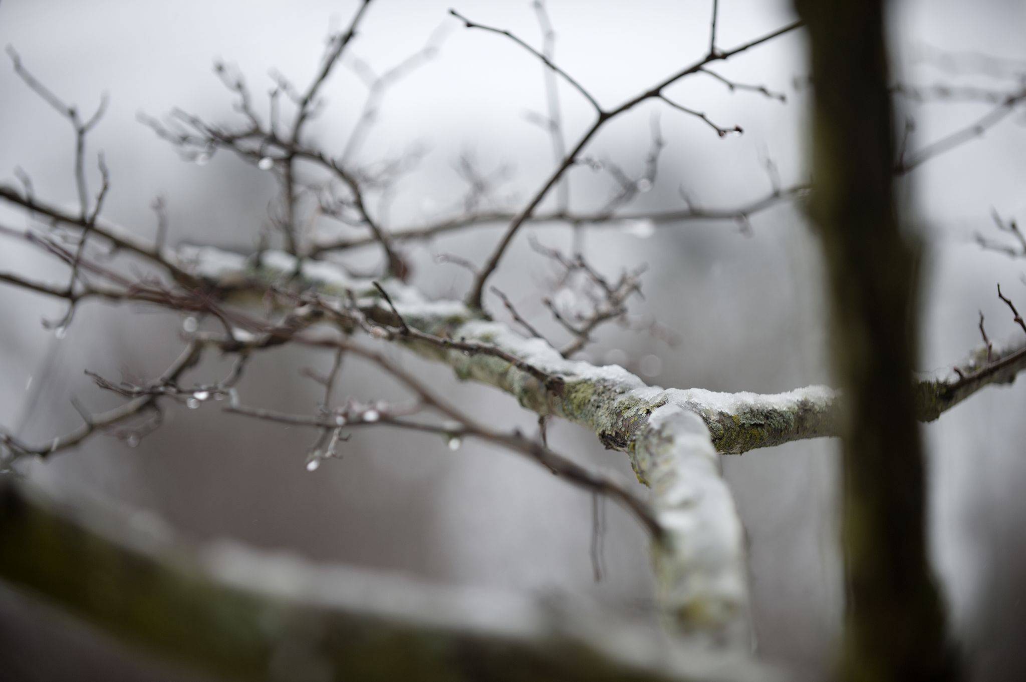 Wintry mix possible for Thursday in San Antonio