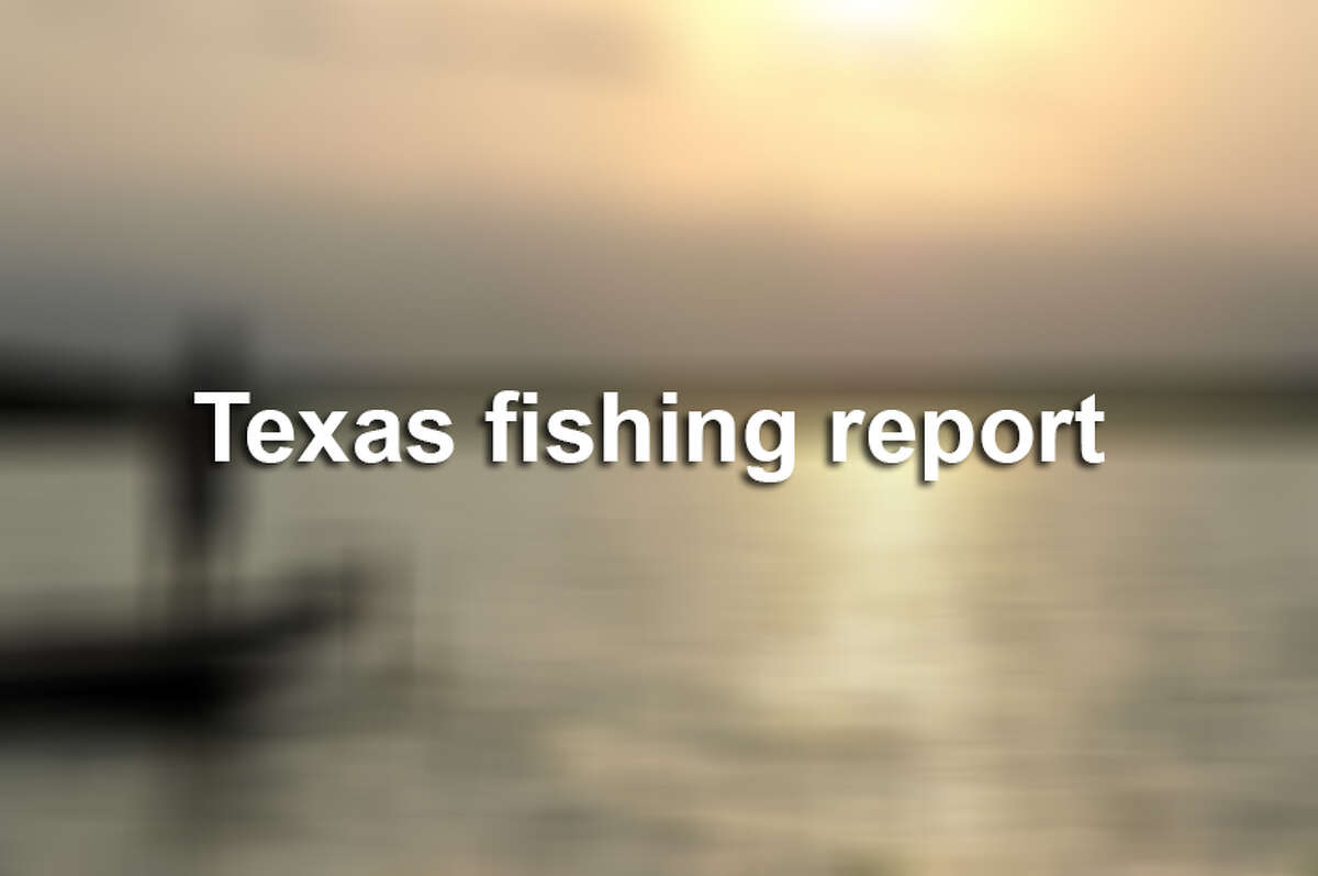 Here is the weekly fishing report as compiled by the Texas Parks & Wildlife Department for the weekend of Oct. 11, 2019.