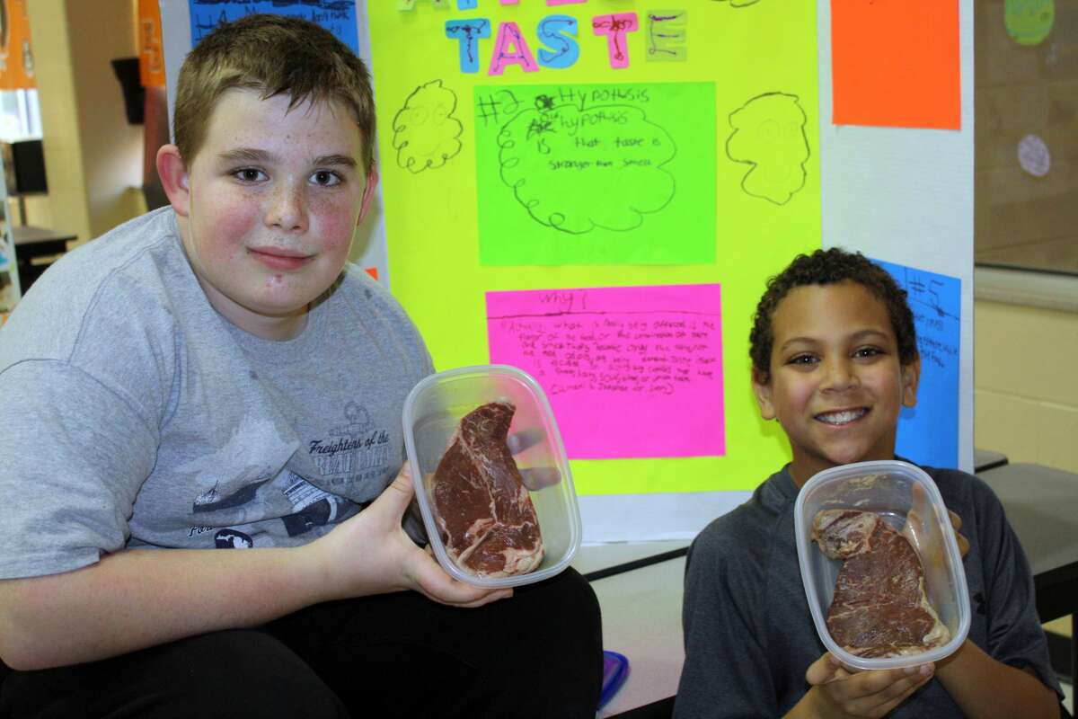 There were many creative projects at this year's annual Harbor Beach Science Fair for grades 4-8.