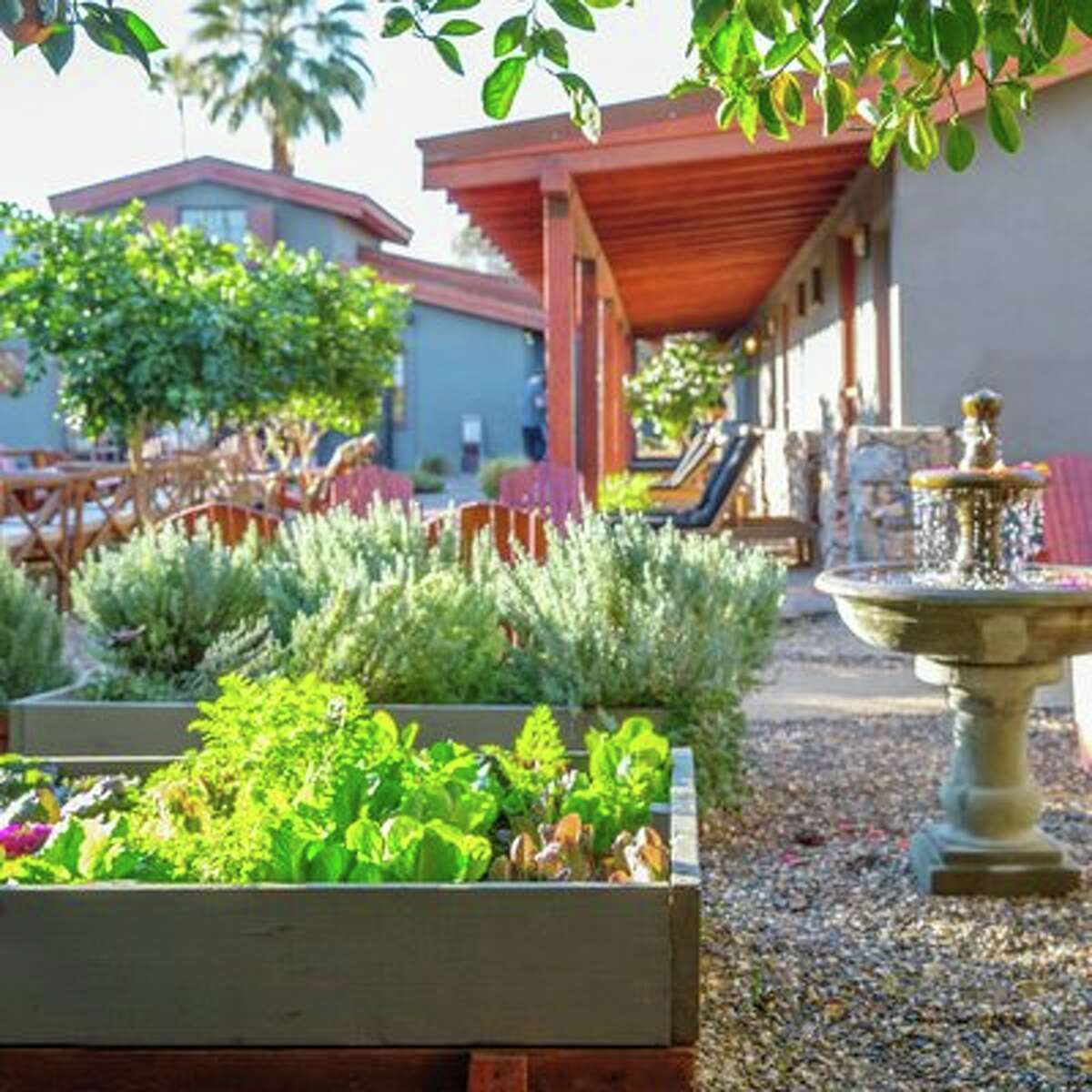 10 highdesign hotels in Palm Springs