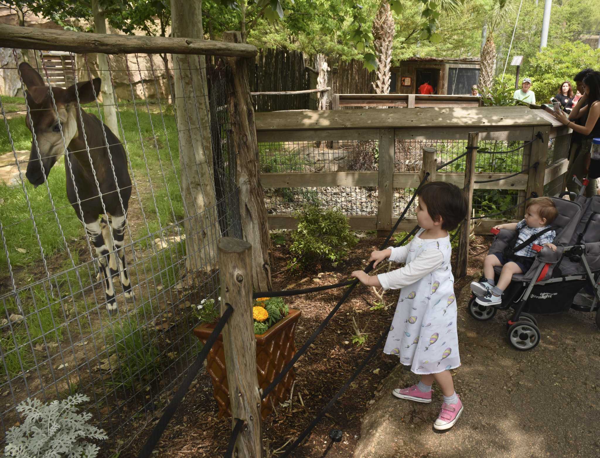 San Antonio Zoo cutting admission cost for locals Tuesday