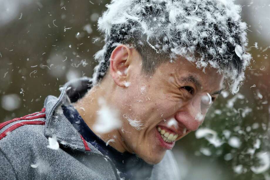 The Feathers Fly On International Pillow Fight Day In Seattle 9050