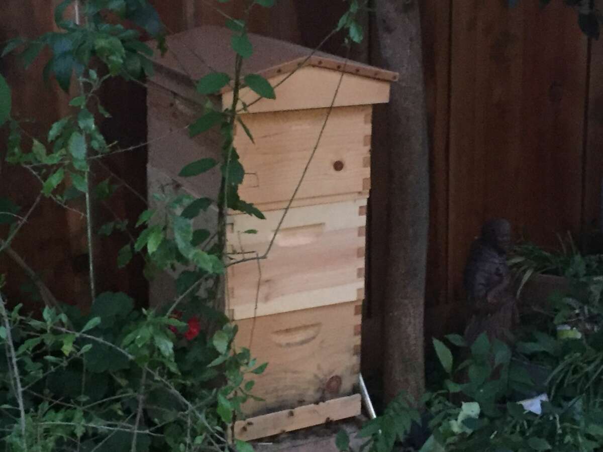 A swarm of bees killed a dog and injured a beekeeper and a firefighter in Ceres.