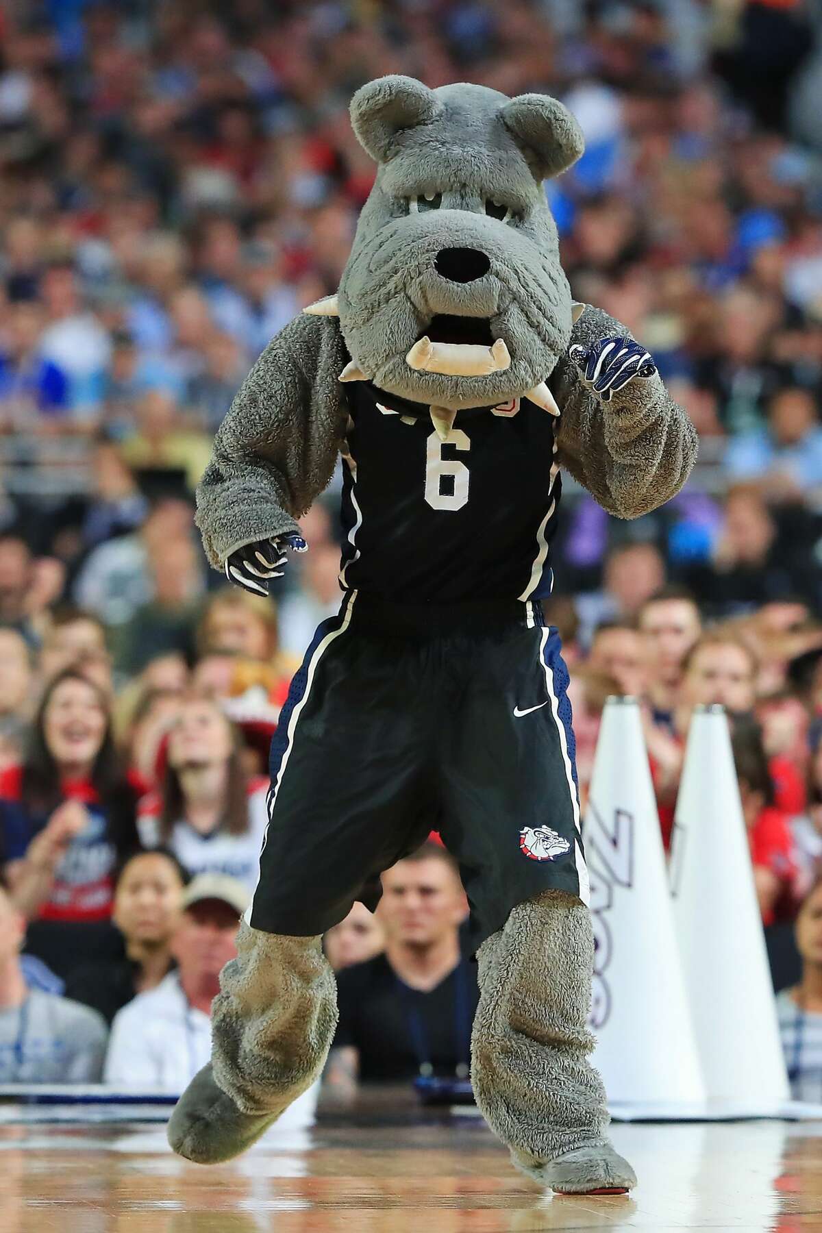  Gonzaga Mascot Bulldog  Check it out now 