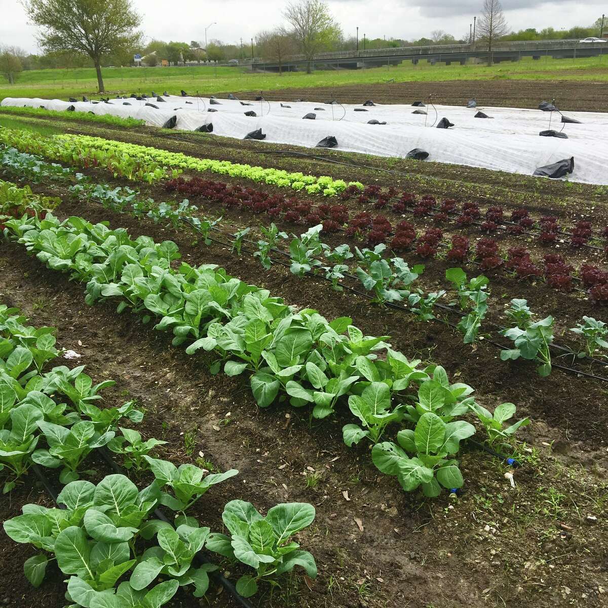 Hope Farms grand opening set for April 22