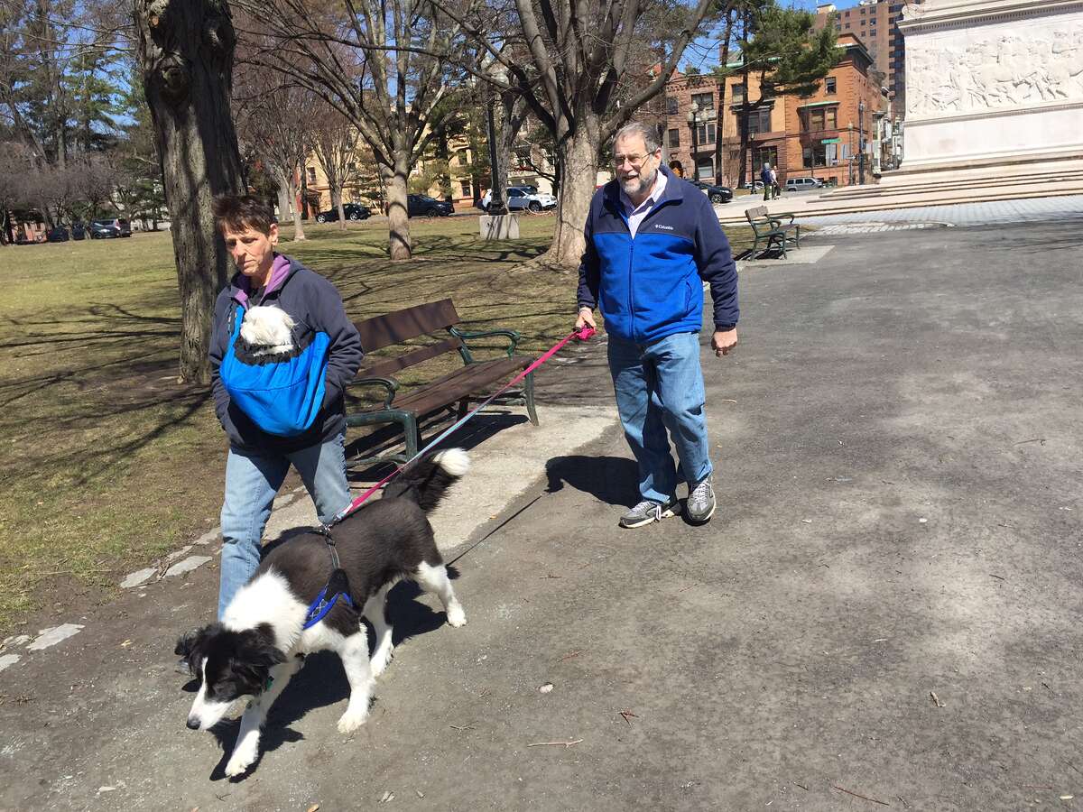 Dr. Allen Carl walks Nellie, a border collie mix, while his wife, Susan Ross, carries Stanley the Maltese in a sling on Sunday, April 2, 2017, in Albany's Washington Park. (Paul Grondahl/Special to the Times Union)