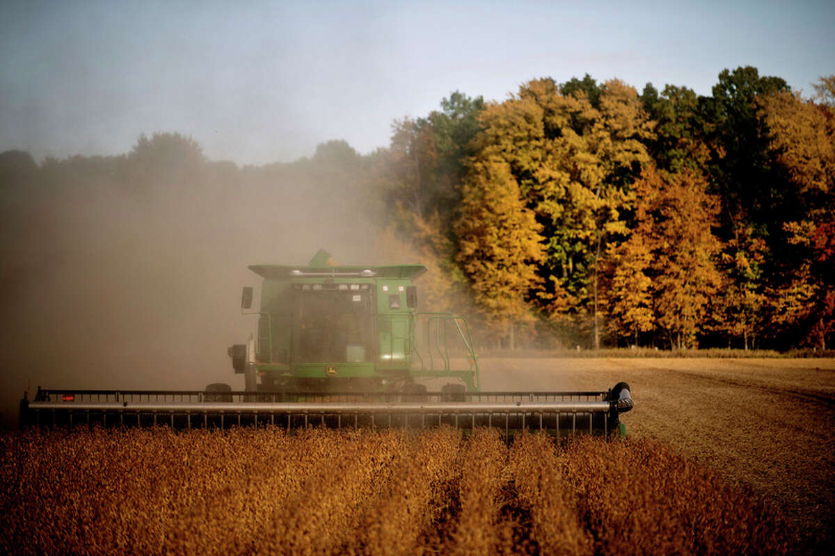 A Coleman farmer harvests soy beans in this 2012 file photo.