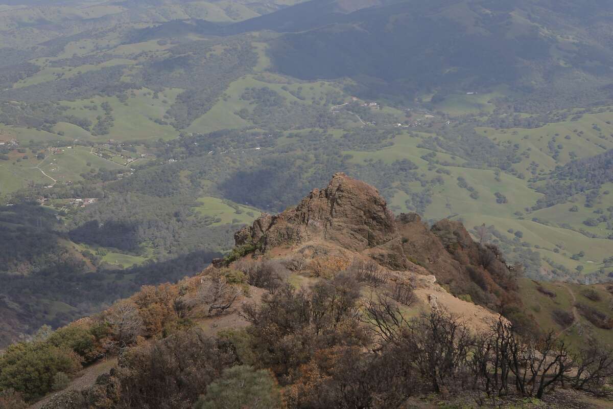 are dogs allowed in mount diablo state park