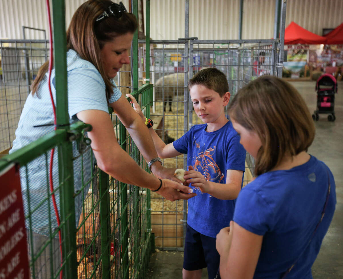 Lisa Purdue, Education Barn Committee member, holds out a chick for Mason Smith, 8, and Kennedy Hicks, 10, to pet during the Montgomery County Fair's Kids Day on Tuesday at the Montgomery County Fairgrounds.